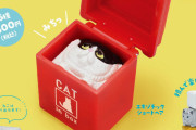 箱入り猫！四角い猫が入った「ねこキューブ」がガチャフィギュアになって登場！