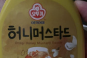 【悲報】ワイ(22歳女)、なんかよくわからん韓国のマスタードを渋々買ってしまう