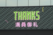 12球団の前半戦入場者数を発表！全球団で前年比増！