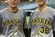 阪神2軍野手成績最新版www