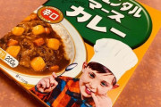 銀座カリー・LEE・カレー曜日とか言うレトルトカレーの三強ｗｗｗｗｗｗｗｗｗ