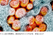 【抗体は？！】北海道で３人目の再陽性　後志地方の３０代女性