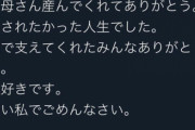 【悲報】木村花さん自殺の引き金が「けんけん」のツイートであるとマスコミも認定