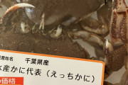 【H】女さん「えっちなカニ売ってたから買ってみた」