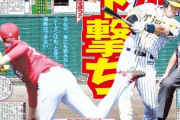 阪神・佐藤輝明←こいつが今シーズン打ちそうなホームラン数wvywvywvy