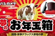 ヨドバシカメラ､福袋｢2021年 夢のお年玉箱｣の抽選受付を開始　ネットでは中身予想が開始