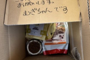 ハリネズミカフェ「当店の前にハリネズミがダンボールに入れられて置き去りにされていました。動物の置き去りは犯罪です」