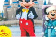 【悲報】 東京ディズニーランドさん、値上げに次ぐ値上げでついに来場者が