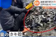 【終国】中国人さん、江戸川区の河川敷で牡蠣の乱獲を始めてしまい逆切れｗ「日本のルールに従うつもりはない」←これ?