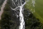【動画】ロシア軍のドローンをネット発射装置で撃墜するウクライナ。