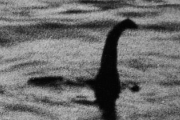 【マジかよ】科学者「ネス湖のネッシーは存在しません。正体は・・・」