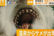 国産サメ映画『温泉シャーク』クラファンで「1000円ごとに出すサメ増やす」その結果……