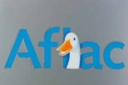【悲報】アフラック、顧客438万人分情報流出ｗｗｗｗｗｗｗｗｗｗｗｗｗｗｗｗｗｗ