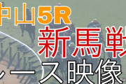 ヴァンガーズハート、ゴール直前で差され２着。横山武史騎手「最後はフワッとしてしまった」