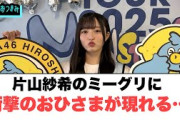 片山紗希のミーグリに衝撃のおひさま現れる…[日向坂46]