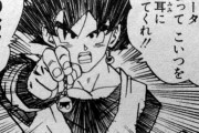 【ドラゴンボール】悟空は何も考えてない結果オーライのバカのイメージが付きまとっているが