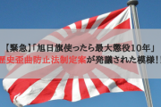 【緊急】「旭日旗使ったら最大懲役10年」歴史歪曲防止法制定案が発議された模様！！