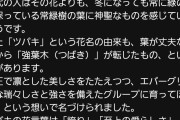 【速報】Spotifyの月間リスナー数でつばきファクトリーがアンジュルムを再びぶち抜く！アンジュルムはハロプロ序列5位へｗｗｗｗｗｗ