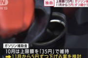 【悲報】日本政府､ガソリン補助金を11月から｢5円｣ずつ縮小へ