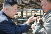 砲弾とヤギを交換？…北朝鮮がロシアからヤギ447頭を輸入！
