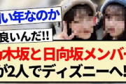 【朗報】乃木坂と日向坂メンバーが2人でディズニーへ!!【乃木坂46・日向坂46】