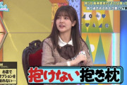 【日向坂46】『抱けない抱き枕』未だ解明されず‥