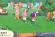 【あつまれどうぶつの森】「あつまれ」って割に共同プレイ面白味なくて微妙じゃない？
