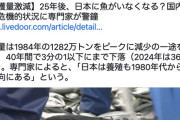 【悲報】魚、あと25年で食べられなくなる