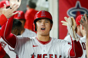 大谷が引退したら野球人気終わると思う