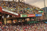 広島阪神戦マツダスタジアムのパフォーマンス席『逆転現象』の謎【観客動員】