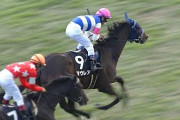【競馬/阪神JF】2連勝中のマウレア複勝狙いなんだが買う人居ます？