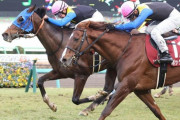 【AJCC】ボッケリーニ (牡8歳) 今日も元気にG2で馬券内