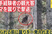 海外の反応　「日本人はクマと戦うのが大好き」日本の空手家、クマを蹴りで撃退