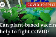 ＠植物由来のコロナワクチン＠海外の反応