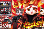 【新台】「Sなめ猫～液晶ないけどなめんじゃねぇ～」の事前評判まとめ！導入少なすぎ、いきなり5スロに設置する店も
