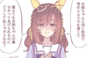 【ウマ娘】ブエトレは、お姉ちゃんもアリだと思う。