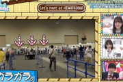 【日向坂46】ループし放題だった「ひらがなけやき」時代の握手会行ってたおひさまいる？