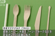 【悲報】マクドナルド「脱プラしたいから、紙ストロー導入するで！」←これΣ(ﾟДﾟ)