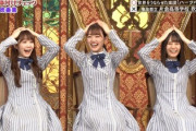 【日向坂46】こさかな＆みーぱん、リアクションが揃いすぎてるwwww【芸能人格付けチェック2021】