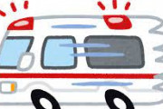 【悲報】日本人「119番！もしもし！救急車のサイレンがうるさいので鳴らすな！！！???」