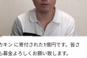 ヒカキンが寄付した一億円、とんでもない事になっていたｗｗｗｗｗｗｗｗｗ