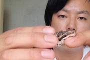 生き物系YouTuber「このマムシ、噛む力が弱いんで教育します」→視聴者ドン引きの衝撃展開に・・・