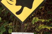 ムササビ横断注意の看板、可愛すぎる