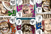 【朗報】ワンピース、懸賞金ランキングがこちらｗｗｗｗｗ