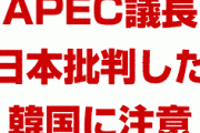 APEC議長「韓国は日本批判をやめろ。関係ない議題をAPECに持ち込むな！」　どうすんのこれ…