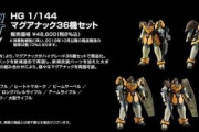 HGマグアナック36機セットがついに発送！ダンボールでけえ…