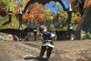 【FF14】初心者さん「白魔道士を47まで上げたけどゲームが楽しい、フレがいなくても十分遊べる。蒼天が楽しみで早く行きたい！」