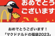 マクドナルド2023年福袋の抽選結果が発表　ワイ将､無事当選してしまう