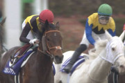 競馬って色んな要素あるけど距離適性やコース適性で馬券を買えば当たるんじゃないのか？