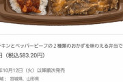 【悲報】セブンの弁当、量が多すぎると判明ｗｗｗｗｗｗ